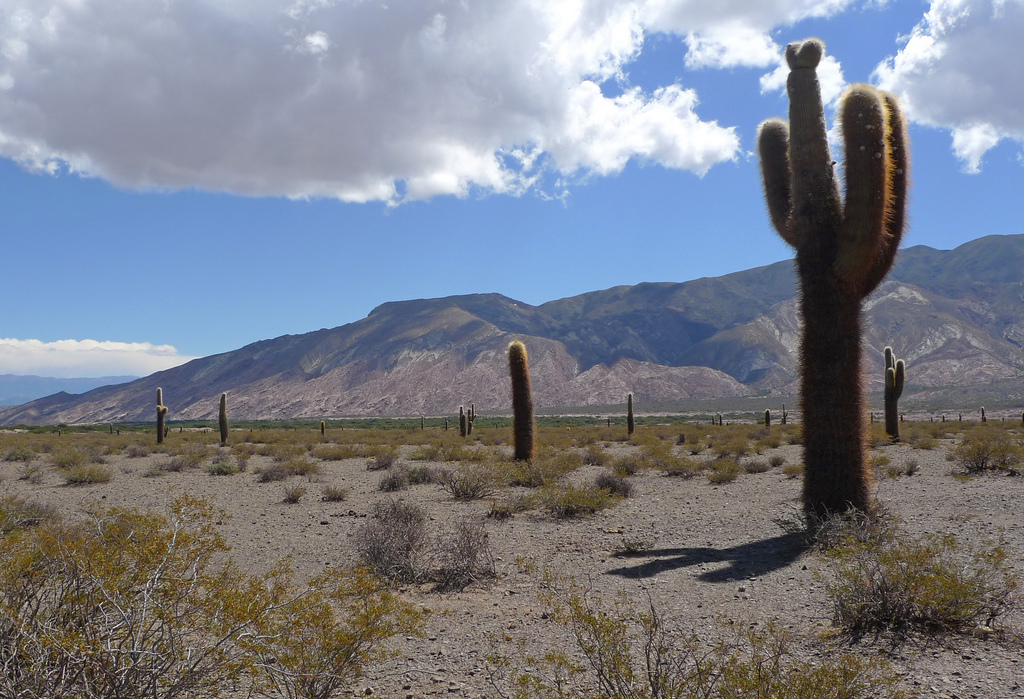 G4G Resources not proceeding with Anetta Geothermal project in Argentina