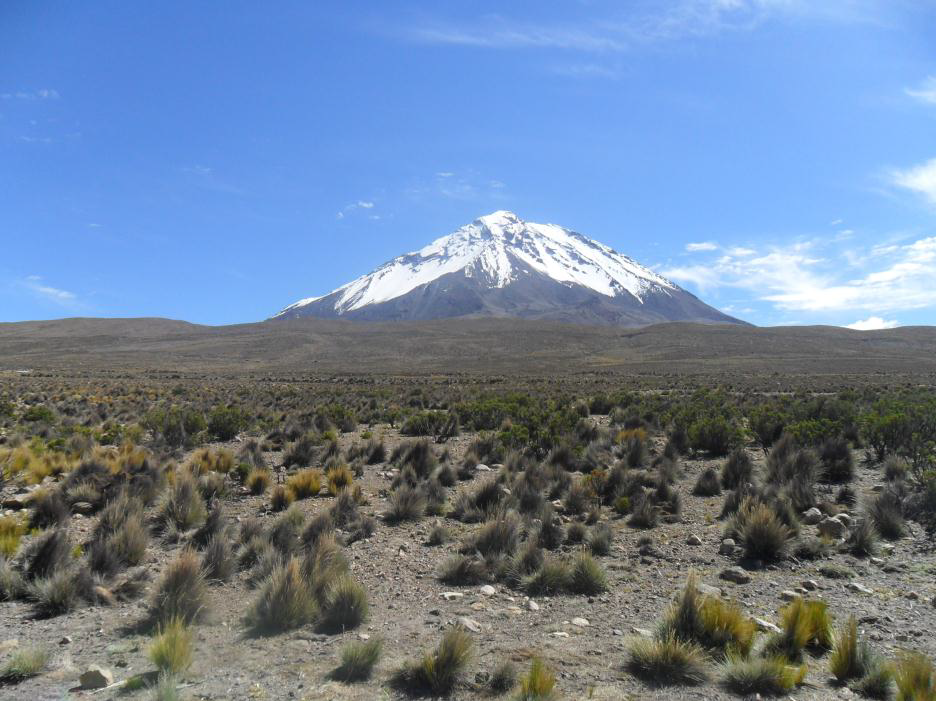 Transmark, ECM Geothermal form JV Infinergeo for Chilean development