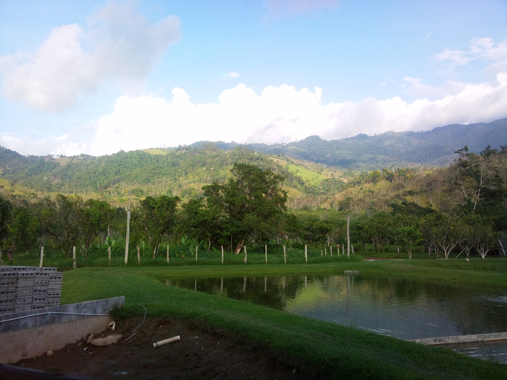 Ormat acquires project in Honduras with up to 35 MW