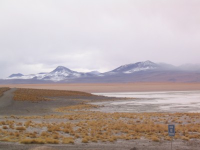 EOI new deadline 18 May 2020 – Engineering consultancy, Laguna Colorada geothermal project, Bolivia