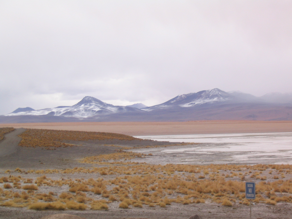 Japan’s JICA to fund Laguna Colorado project in Bolivia