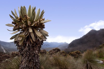 New Law 1715 in Colombia to boost Renewables