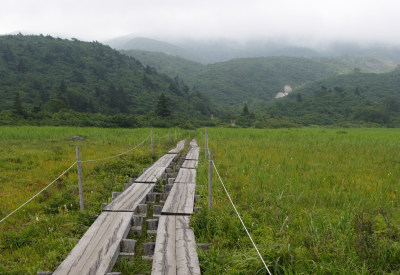 Sumitomo Forestry plans 2 MW geothermal plant in Japan