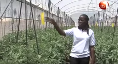 GRMF East Africa calls for geothermal direct use project pitches