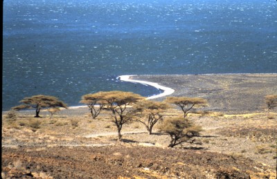 Turkana geothermal project in Kenya secures $1m grant from African Union
