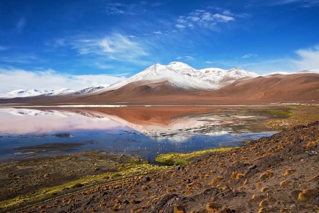 Two international consortia with bids for 5 MW Laguna Colorada geothermal project, Bolivia