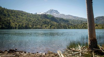 Transmark Chile awarded geothermal exploitation license on the Tolhuaca field, Chile