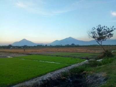 Preparation for Arjuno-Welirang geothermal project in East Java ongoing