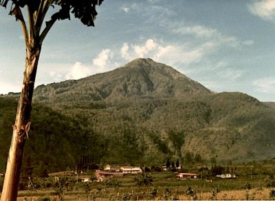PT Pertamina conducting review of Gunung Lawu geothermal project