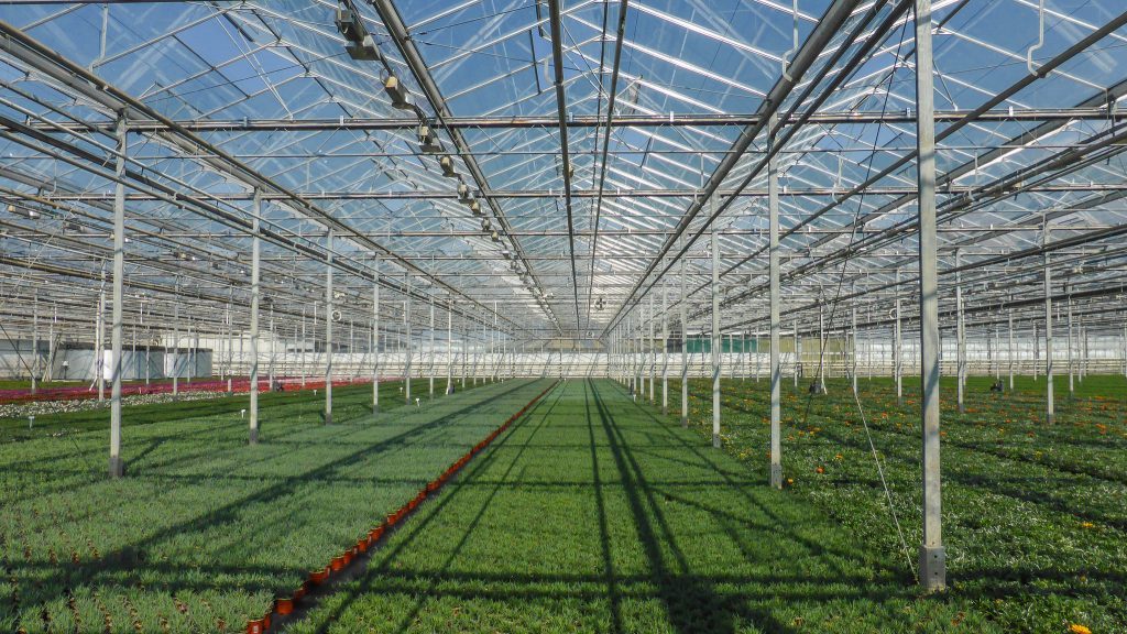 Geothermal drilling for greenhouse farming begins in Eskisehir, Türkiye