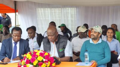 GDC signs geothermal steam offtake agreement with cement firm