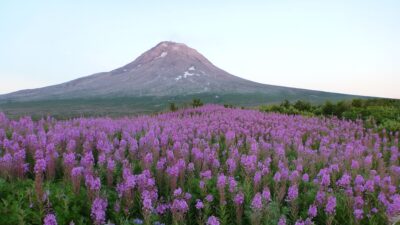 GeoAlaska receives LOI for power offtake for Mount Augustine geothermal project