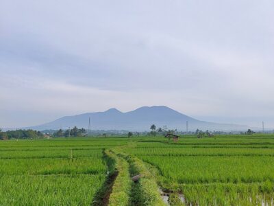First Gen (EDC) ventures into Indonesia with geothermal investment strategy