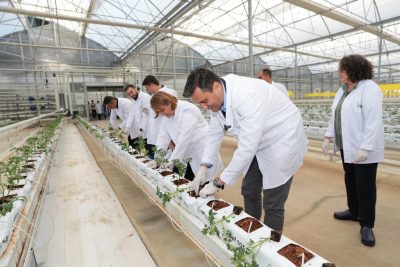 New season seedling planting ceremony held at Kula Geothermal Greenhouse, Türkiye