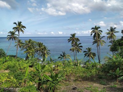 Steam Srl’s studies lay foundation for Comoros geothermal roadmap
