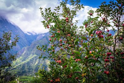 Project InnerSpace launches geothermal cold storage project in India under funding program