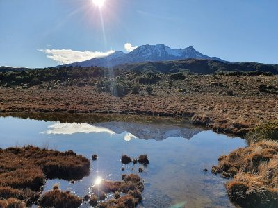 PhD opportunity – Supercritical geothermal geophysics, DeepHeat programme, New Zealand